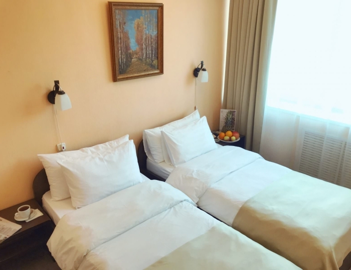 Эконом Twin - Санаторий Devon Medical & SPA / Дэвон Медикал и СПА Москва