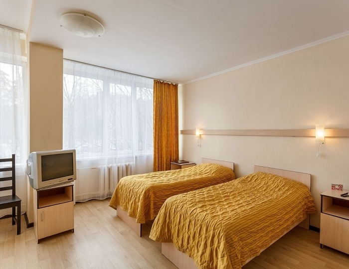 Эконом Twin - Санаторий Devon Medical & SPA / Дэвон Медикал и СПА Москва